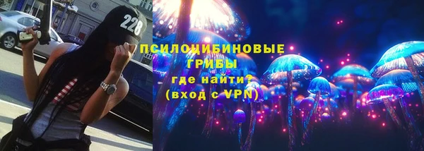 PSILOCYBIN Алзамай