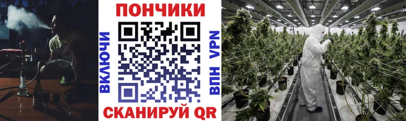 Конопля тримм  продажа наркотиков  Слюдянка 